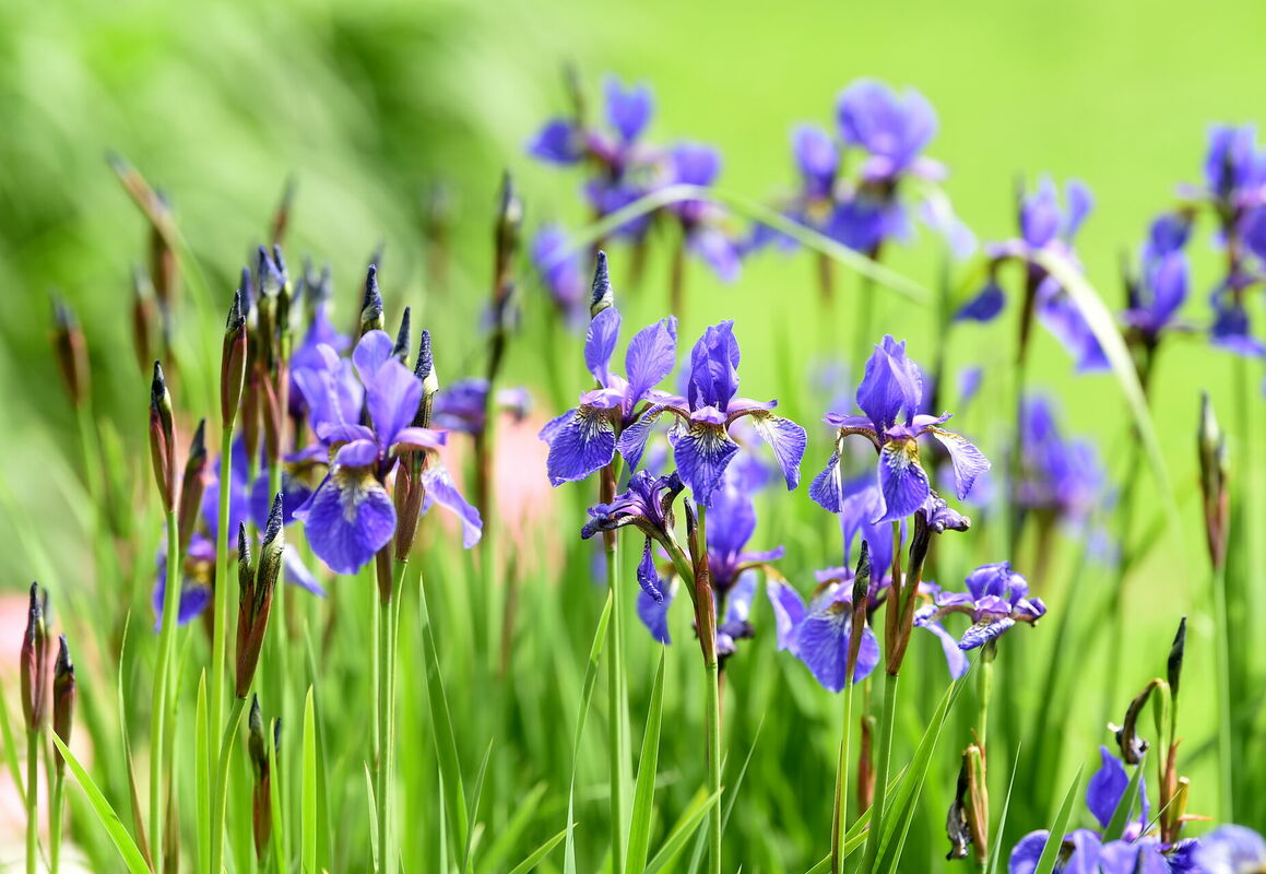 Foto: Zane Bitere/LETA