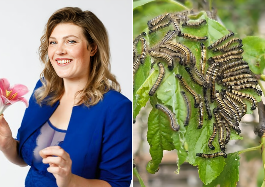 magone.burka/Instagram