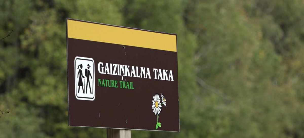 Foto: Ekrānuzņēmums no sižeta