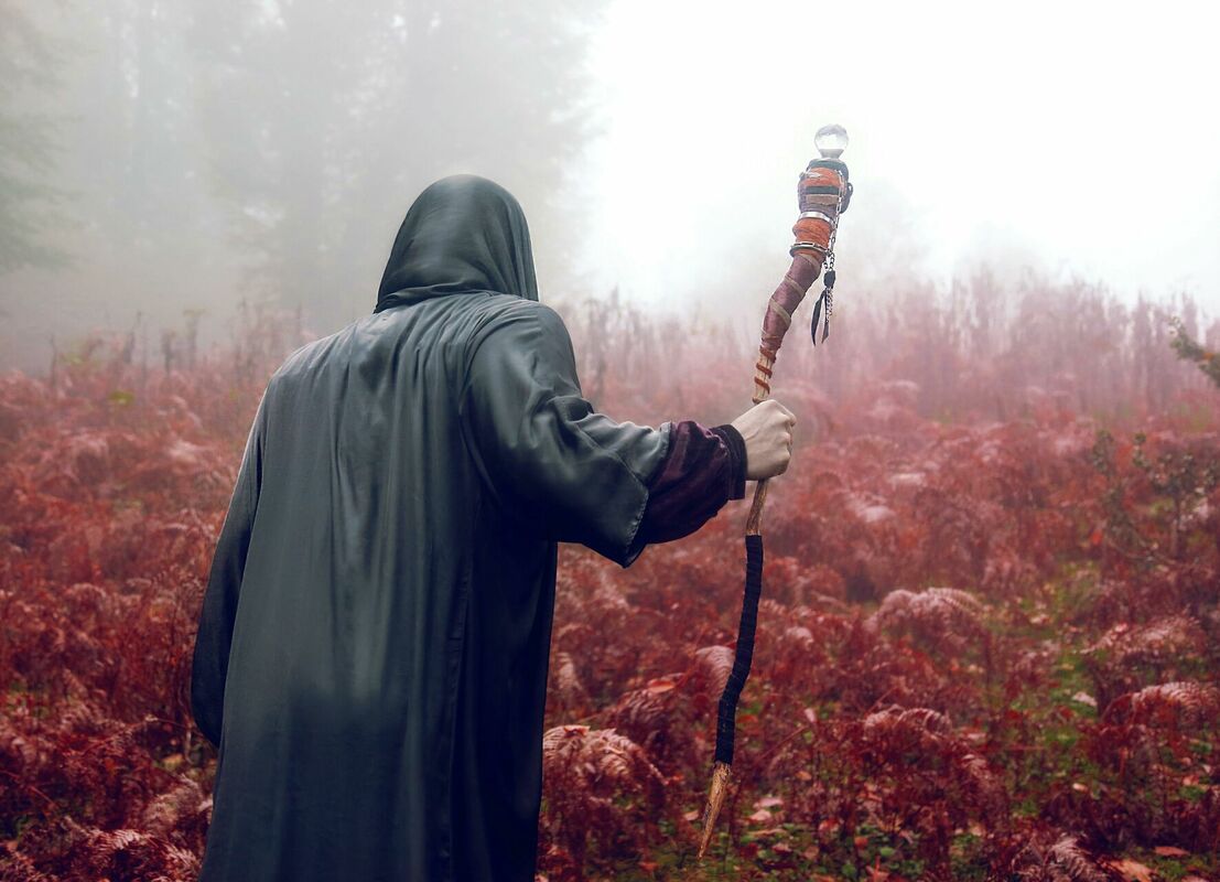 Foto: Fariborz MP, Pexels.com