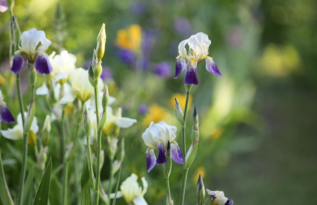 Foto: Evija Trifanova/LETA