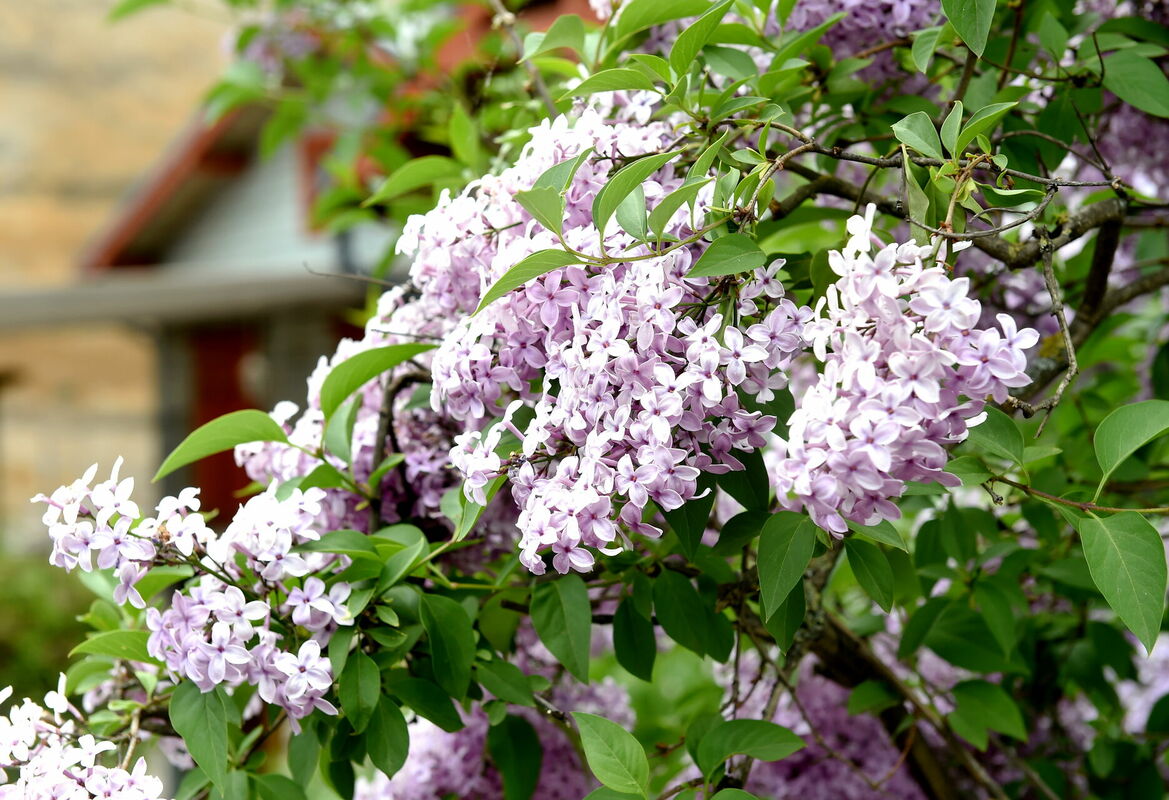 Foto: Zane Bitere/LETA