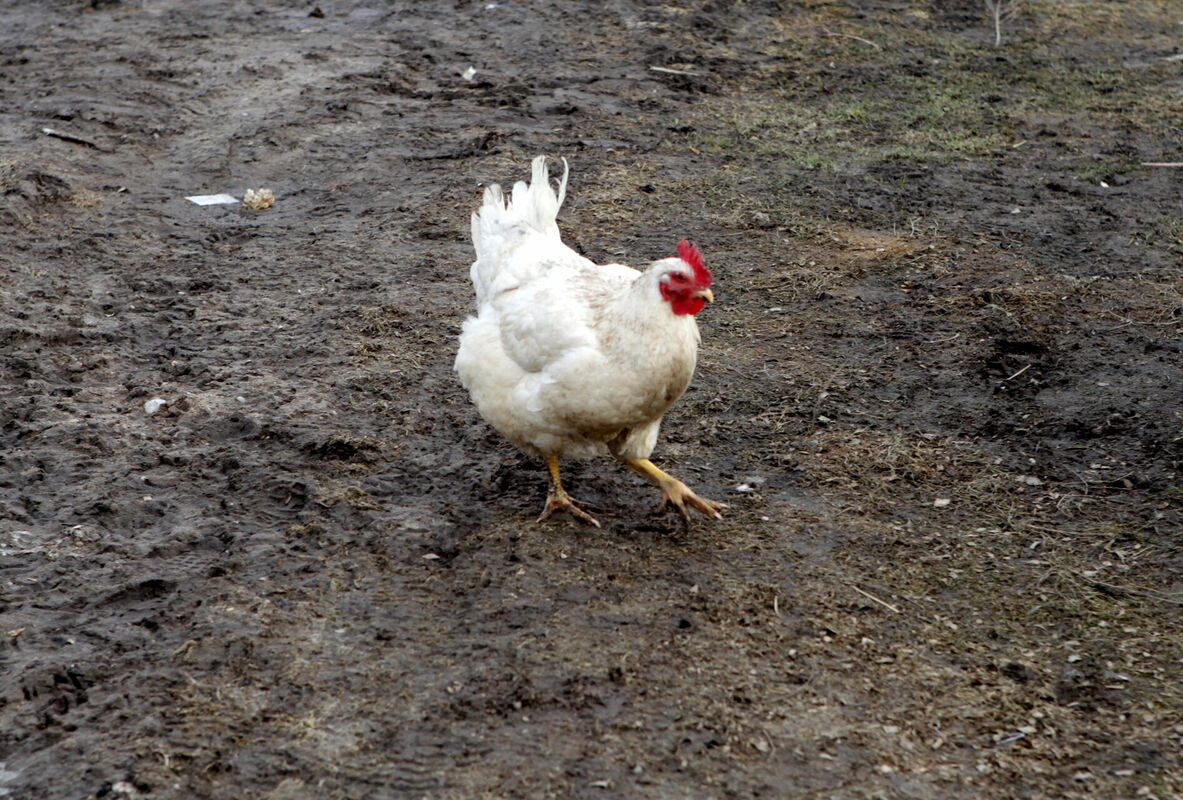 Ilustratīvs attēls. Foto: Edijs Pālens/LETA