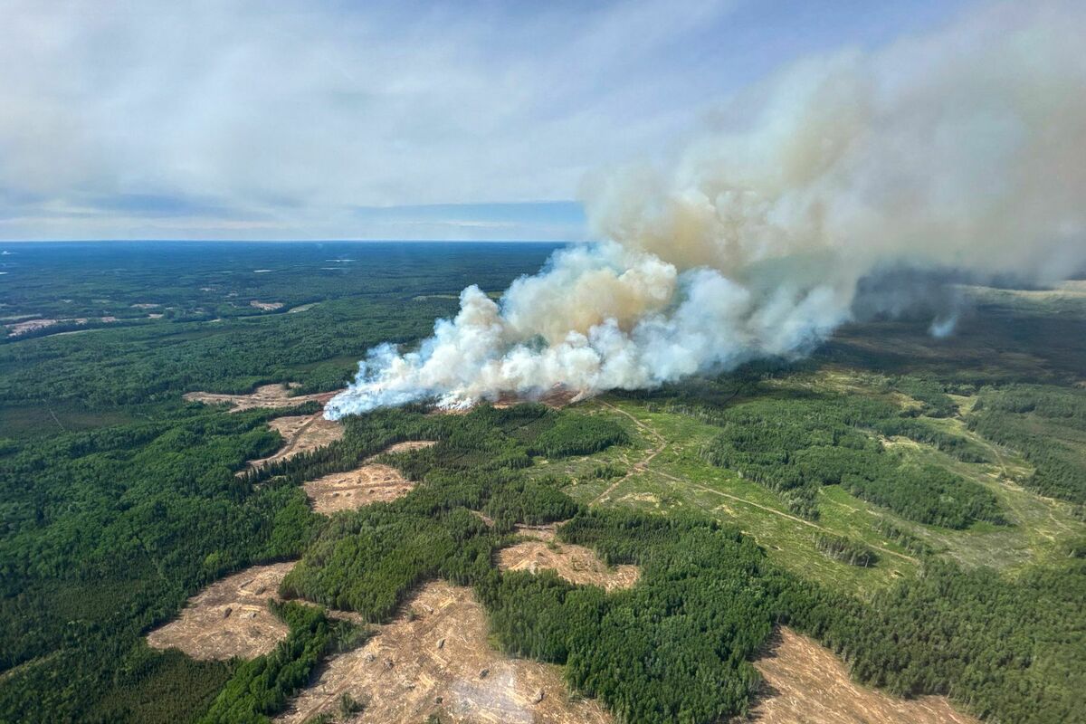 Kanāda. Foto: AFP/Scanpix