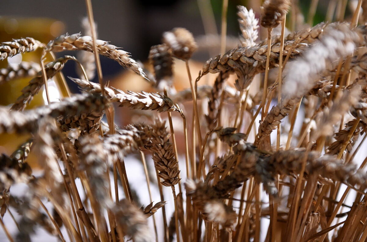 Foto: Ieva Makare/LETA