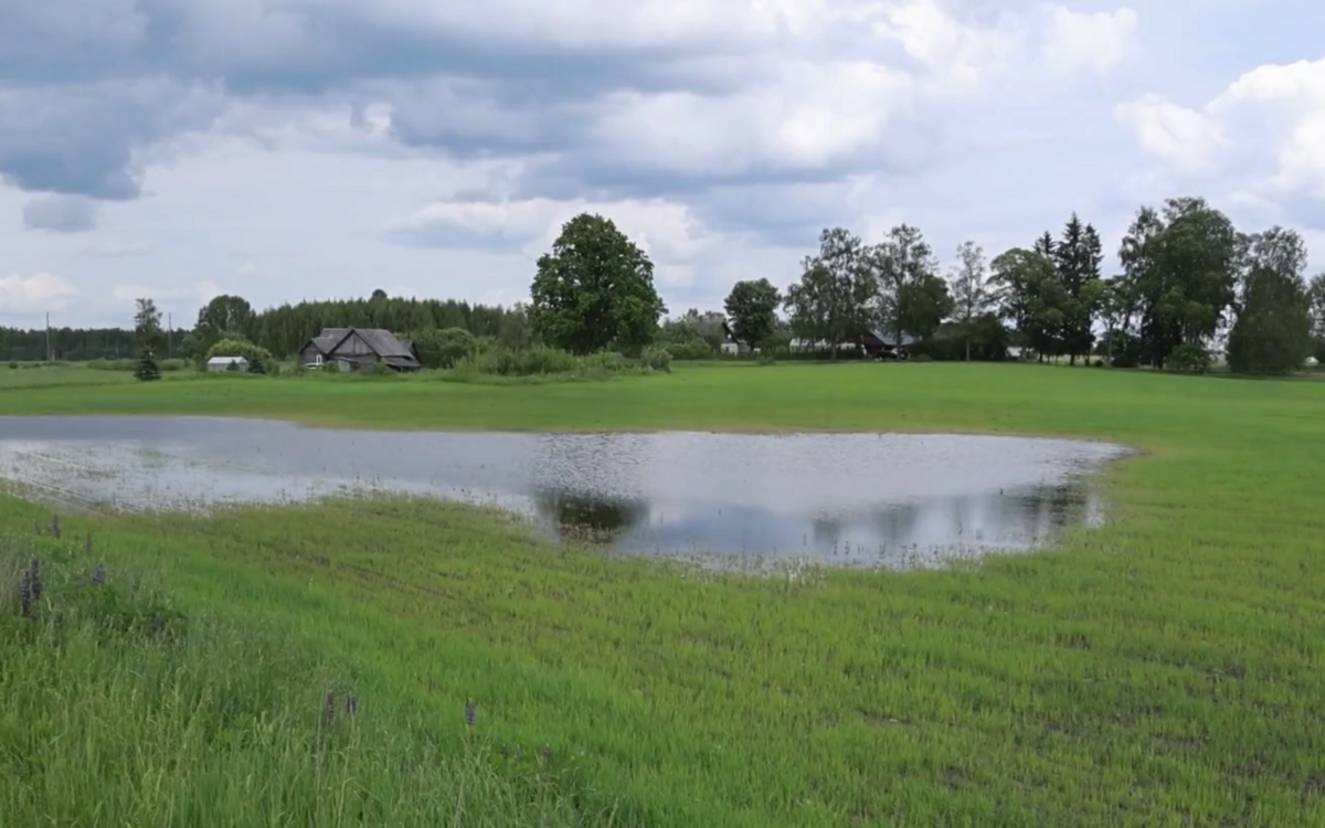 Foto: Ekrānšāviņš no sižeta