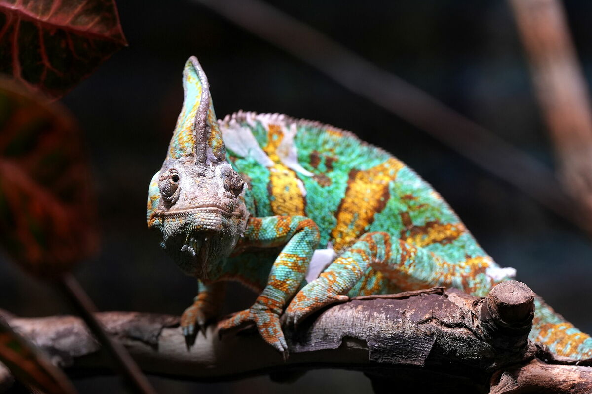 Foto: Evija Trifanova/LETA