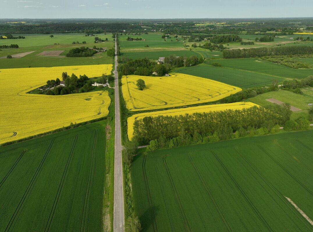 Foto: Kaspars Nordens/LETA