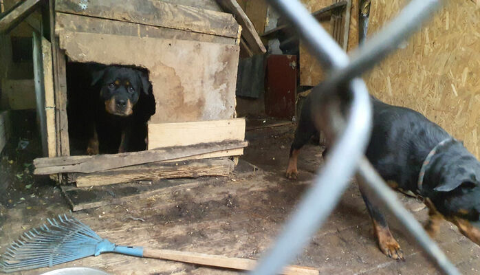 Foto: Pārtikas un veterinārais dienests