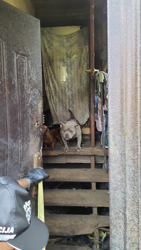 Foto: Pārtikas un veterinārais dienests
