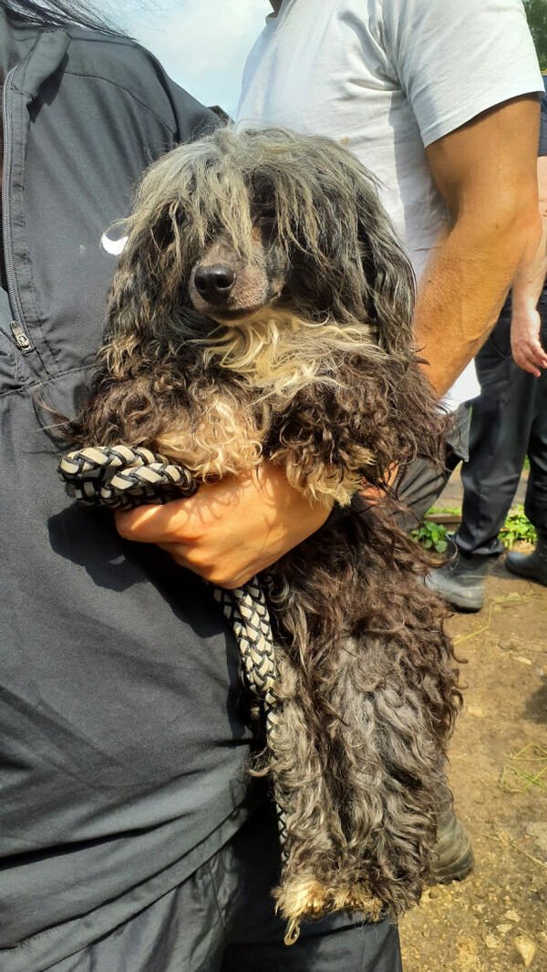 Foto: Pārtikas un veterinārais dienests