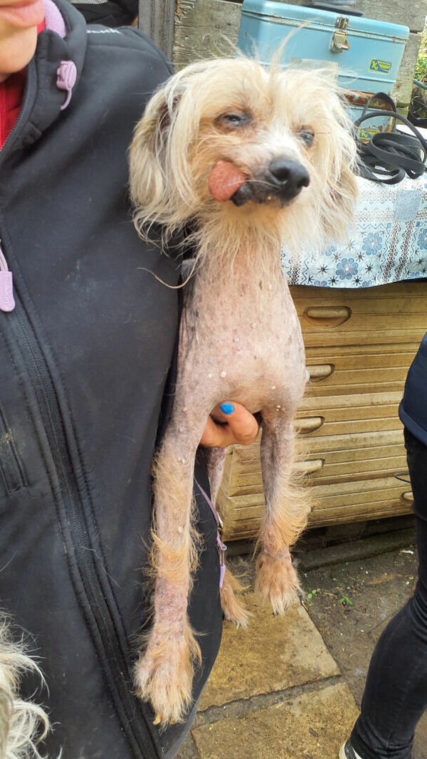 Foto: Pārtikas un veterinārais dienests