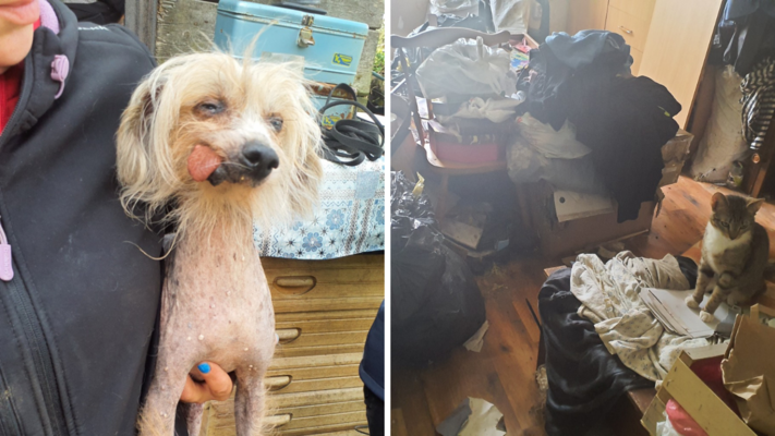 Foto: Pārtikas un veterinārais dienests
