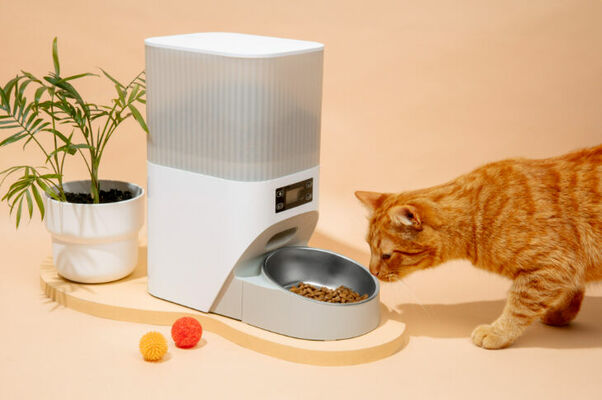 Foto: freepik.com/Freepik 