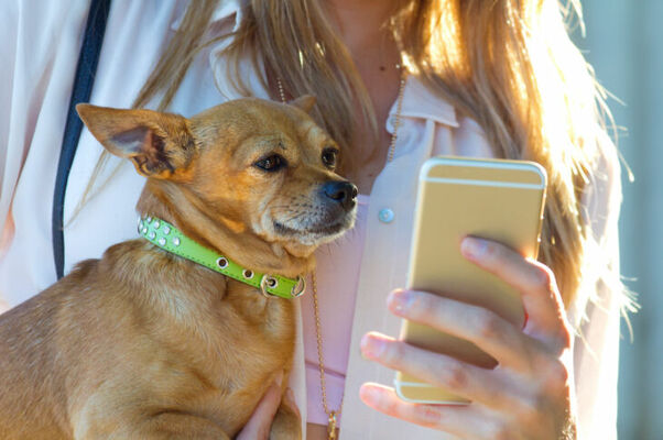 Foto: freepik.com/Freepik 