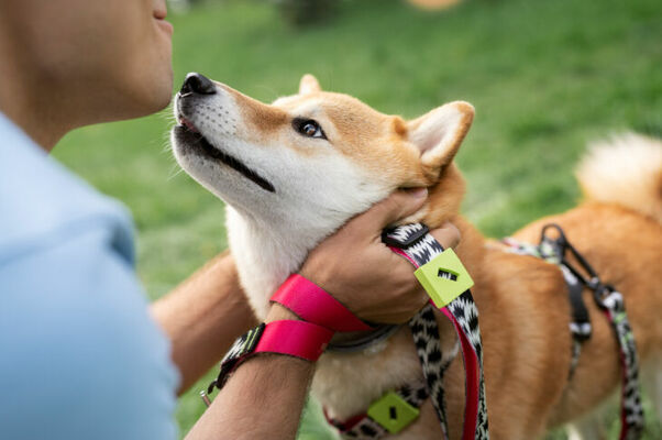 Foto: freepik.com/Freepik 