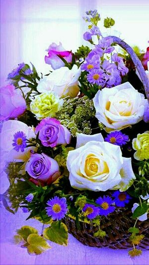 "SB ZIEDI" SIA ziedu veikals