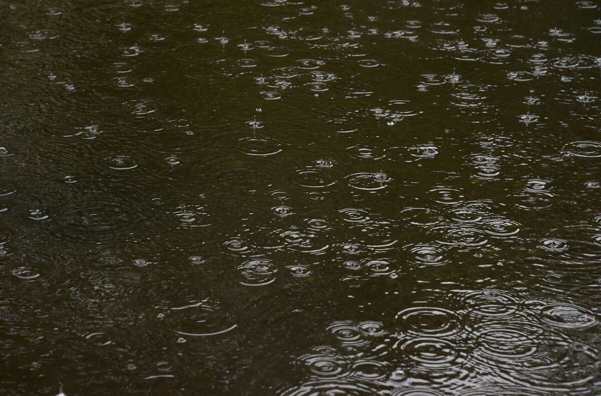 Foto: Zane Bitere/LETA