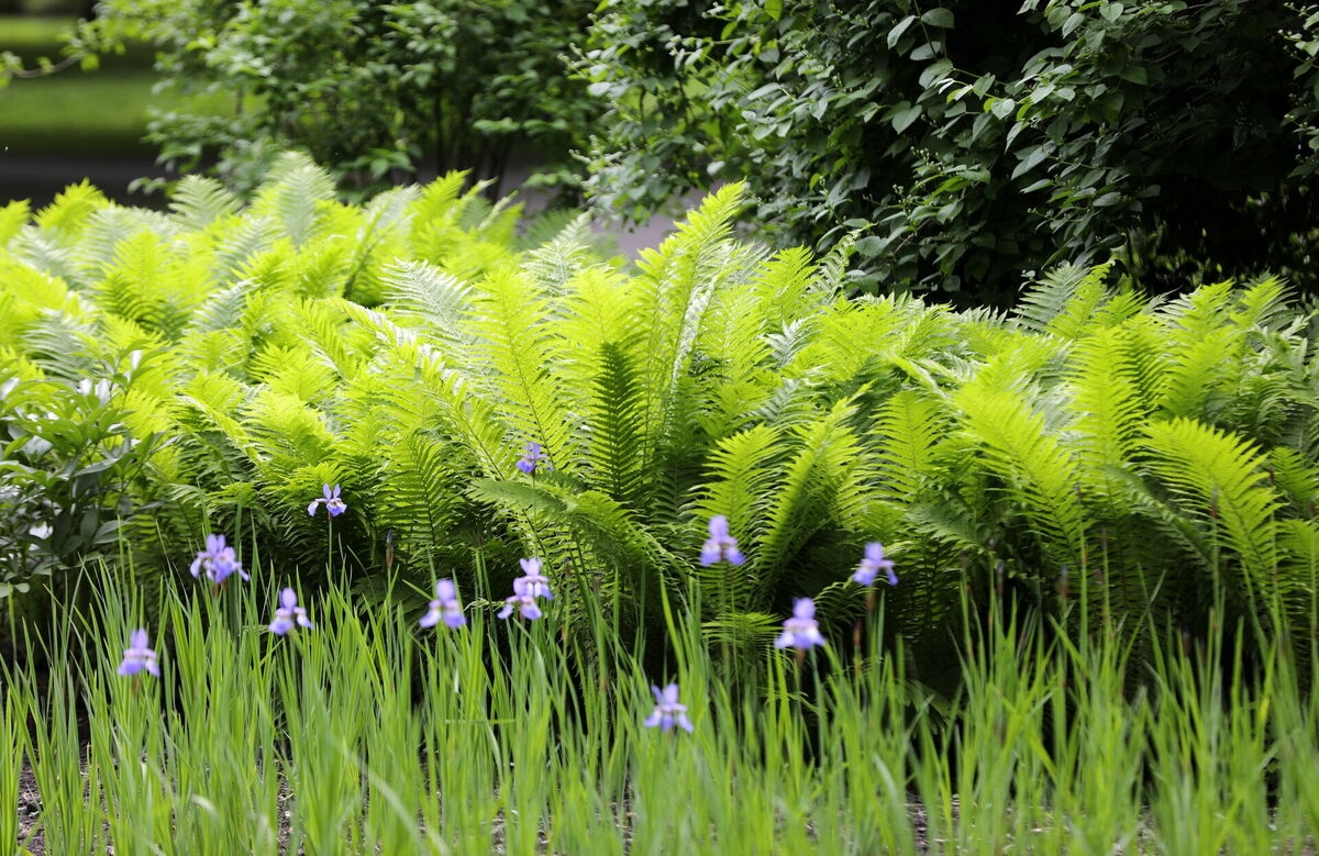 Foto: Evija Trifanova/LETA