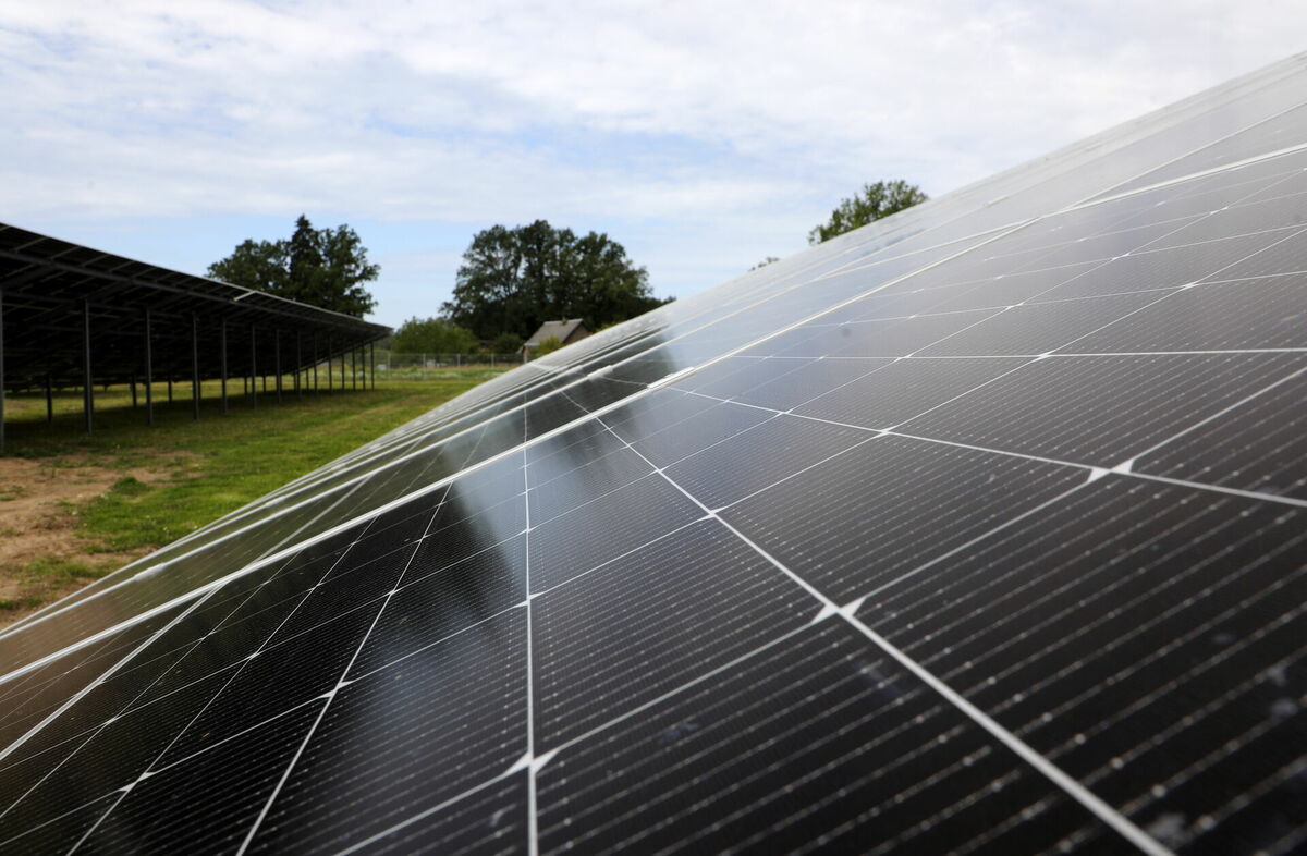 Foto: Evija Trifanova/LETA