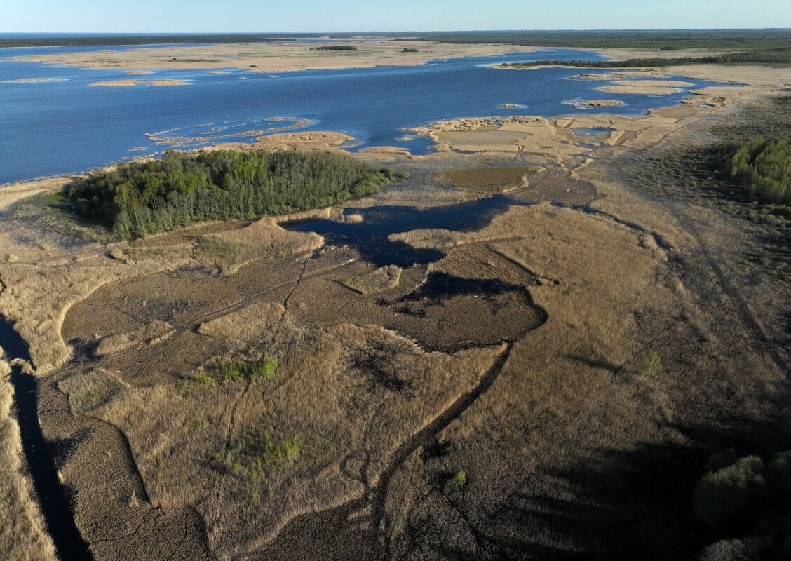 Engures ezers. Foto: Kaspars Nordens/LETA
