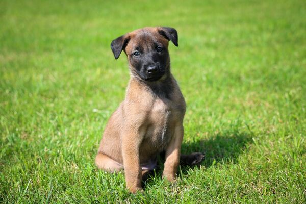 Foto: Valsts robežsardze/Facebook