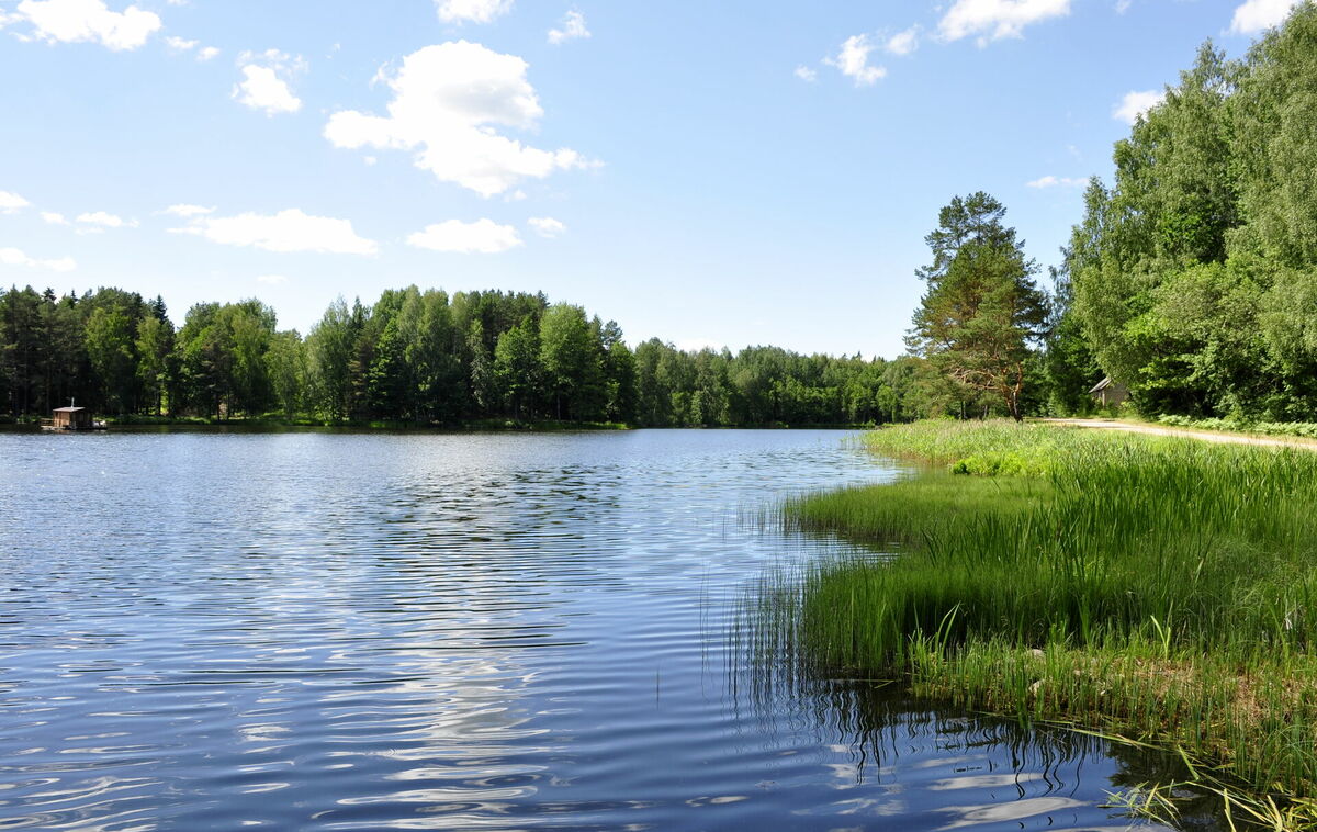 Foto: Ivars Soikāns/LETA