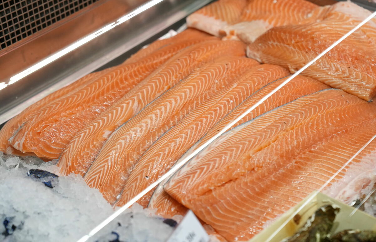 Lasis. Foto: Zane Bitere/LETA