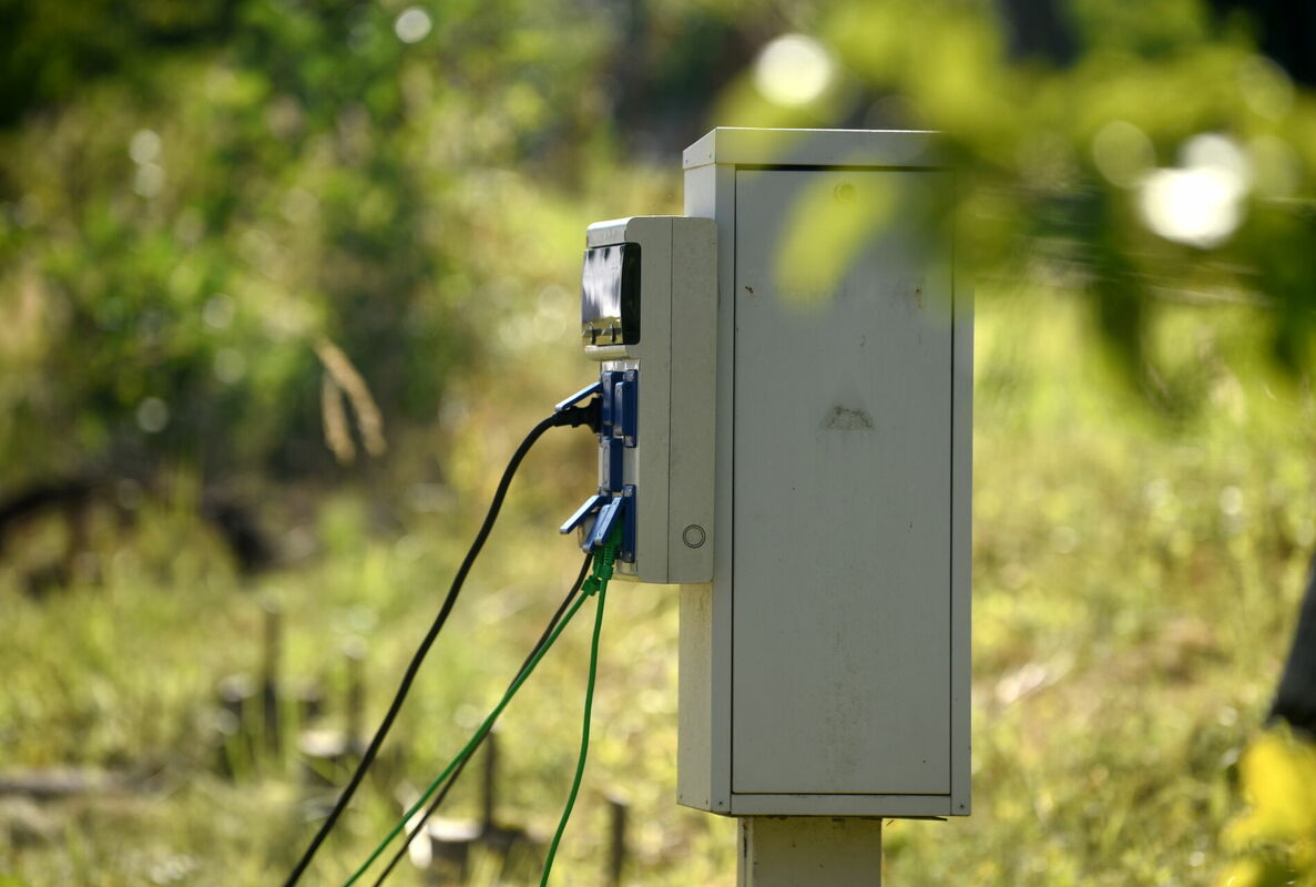 Foto: Zane Bitere/LETA