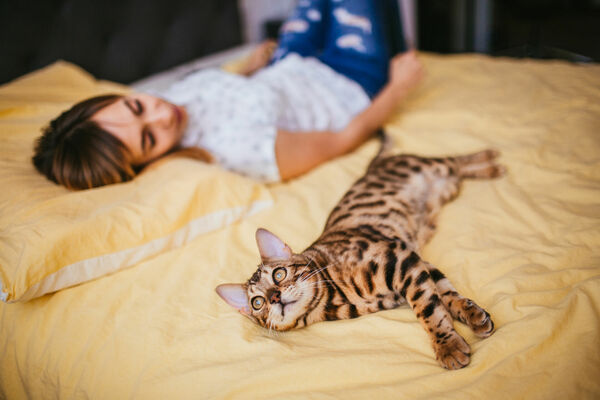 Foto: Freepik