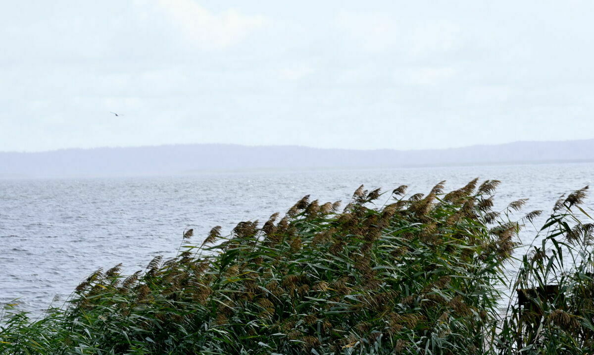 Foto: Zane Bitere/LETA