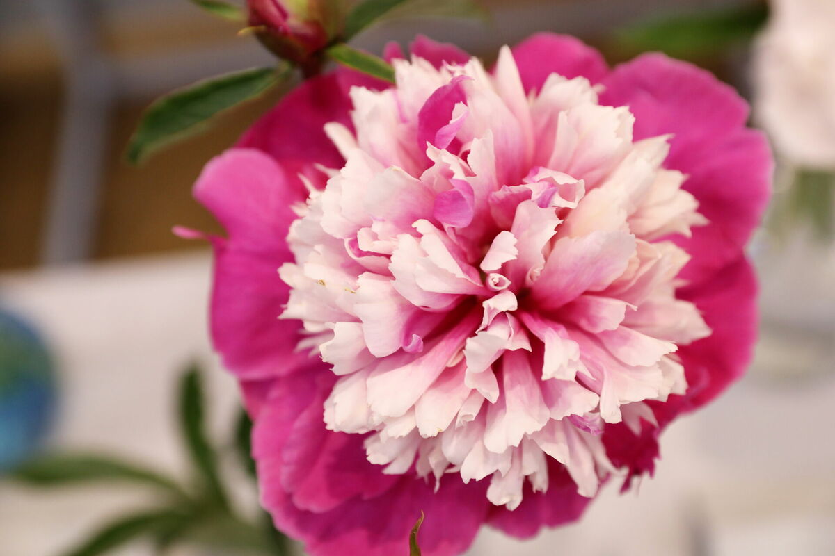 Ilustratīvs attēls. Foto: LETA