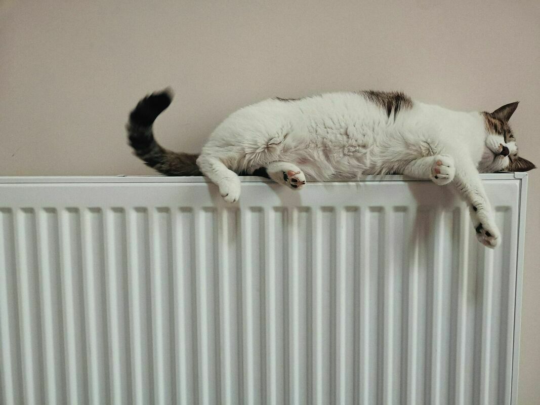 Radiators. Foto: Unsplash