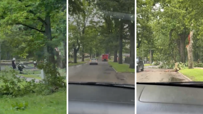 Foto: Elīza Petruseviča