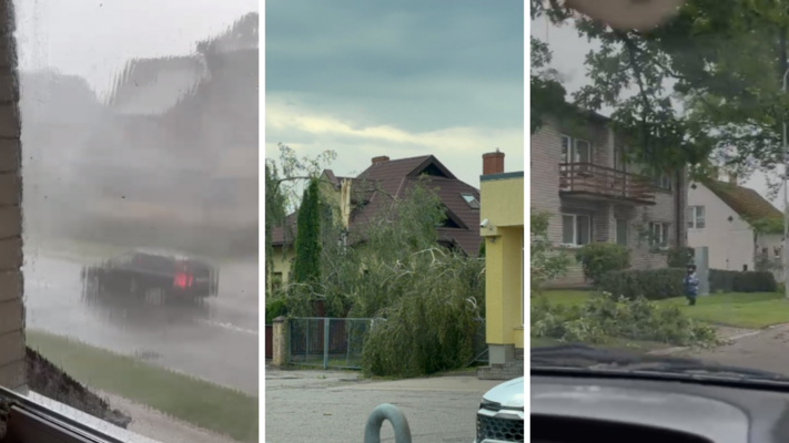 Foto: Elīza Petruseviča