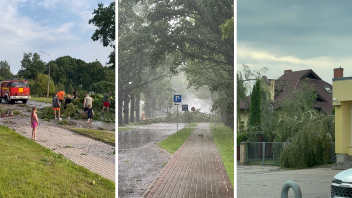 Foto: Ieva Fogele/Elīza Petruseviča