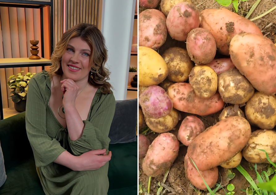 magone.burka/Instagram