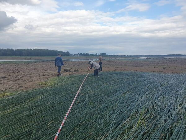 Foto: Latvijas Ornitoloģijas biedrība