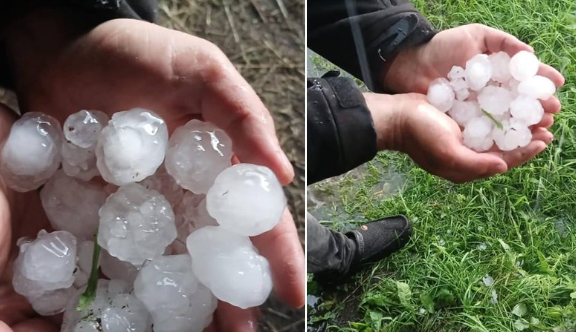 Krusa. Foto: Uldis Kusners