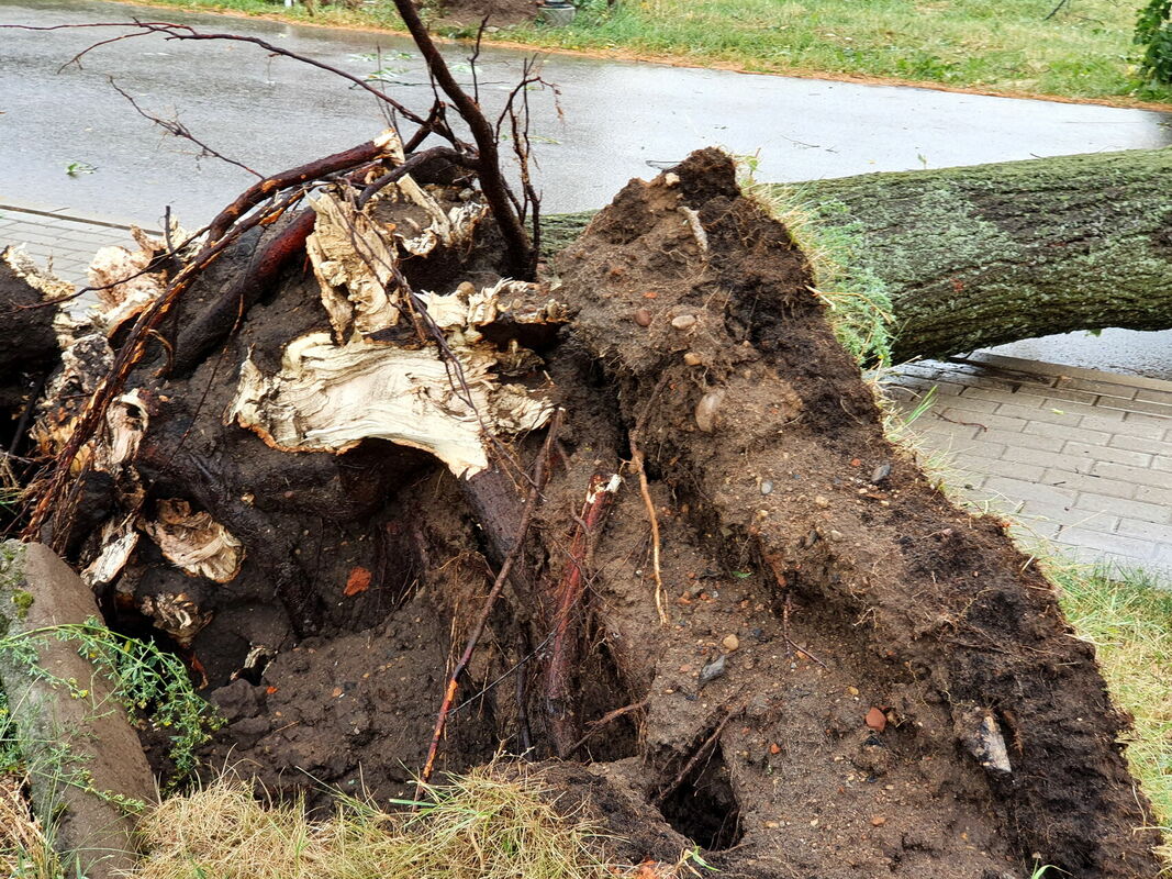 Ilustratīvs attēls. Foto: Ivars Soikāns/LETA