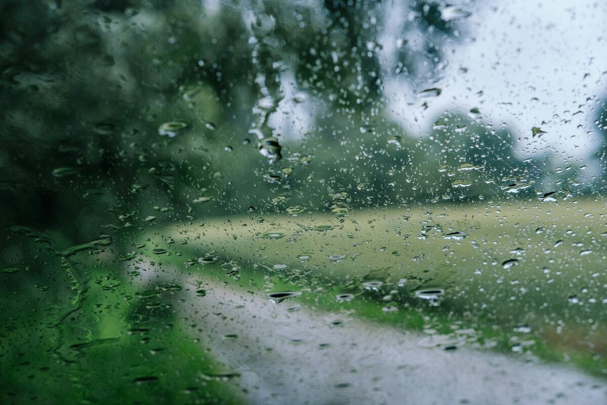 Bērzmuiža. Foto: Unsplash