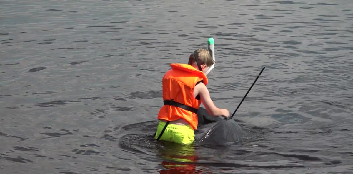 Foto: Ekrānuzņēmums no sižeta