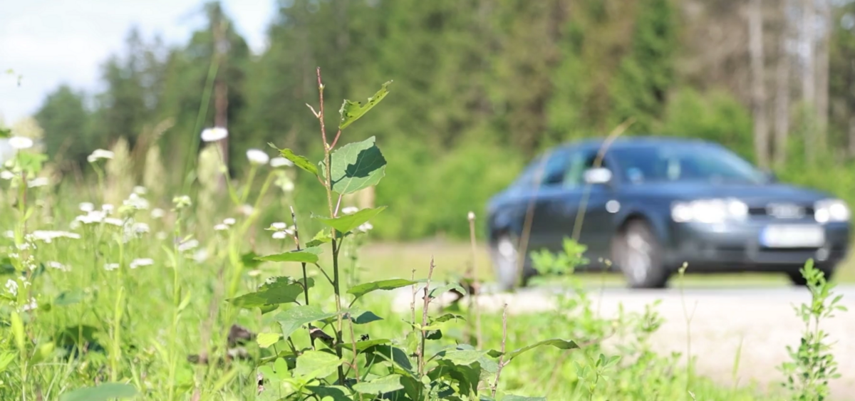 Foto: Ekrānuzņēmums no sižeta
