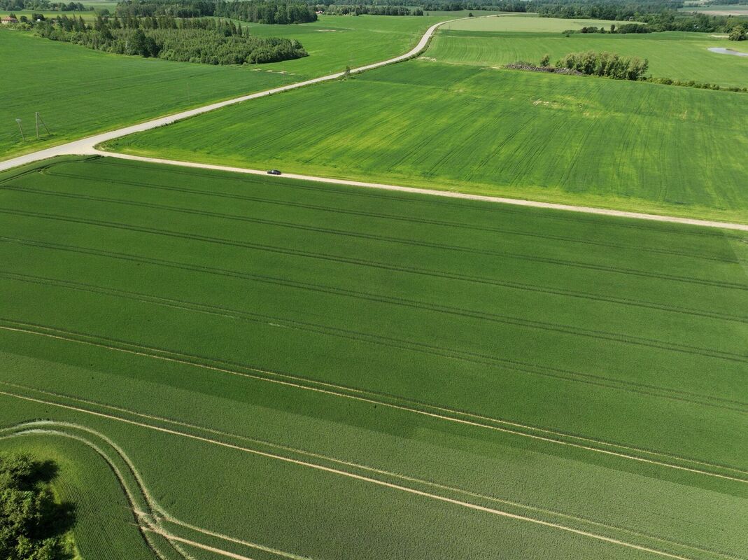 Foto: Zane Bitere/LETA