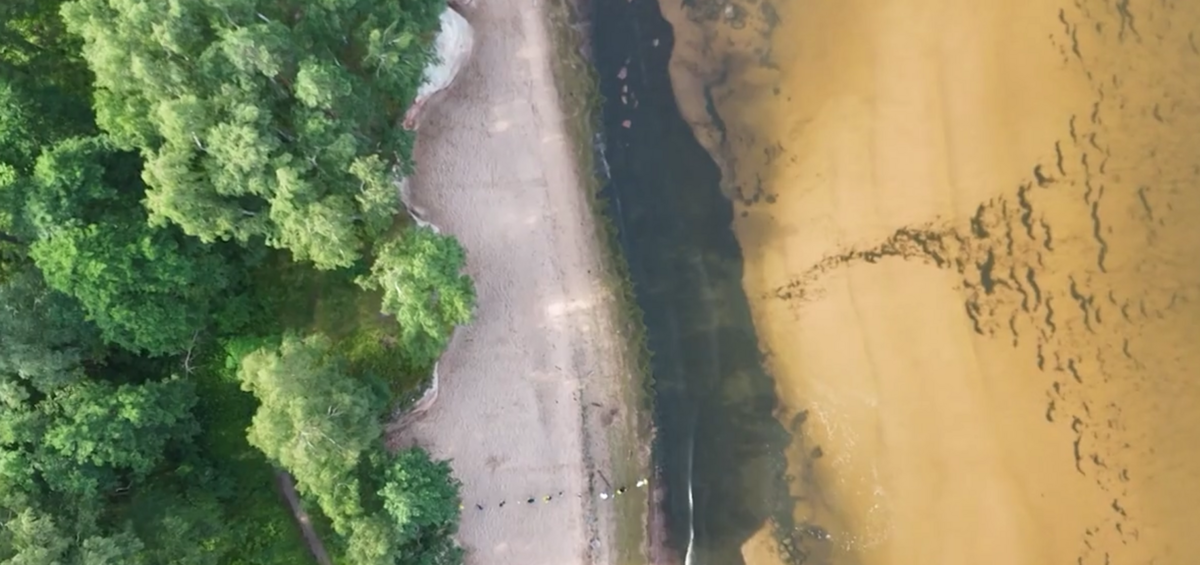 Foto: Ekrānuzņēmums no sižeta