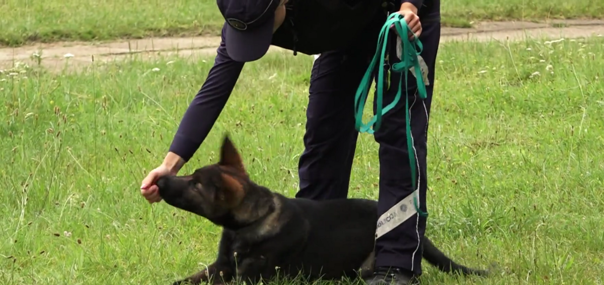 Foto: Ekrānuzņēmums no sižeta