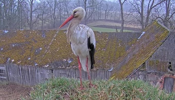 Foto: Latvijas Dabas fonds