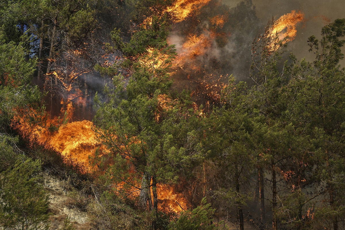 Mežu ugunsgrēki Turcijā. Foto: scanpix/AP Photo/Ghaith Alsayed