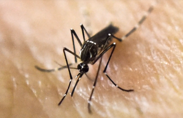 Foto: Ekrānšāviņš no sižeta