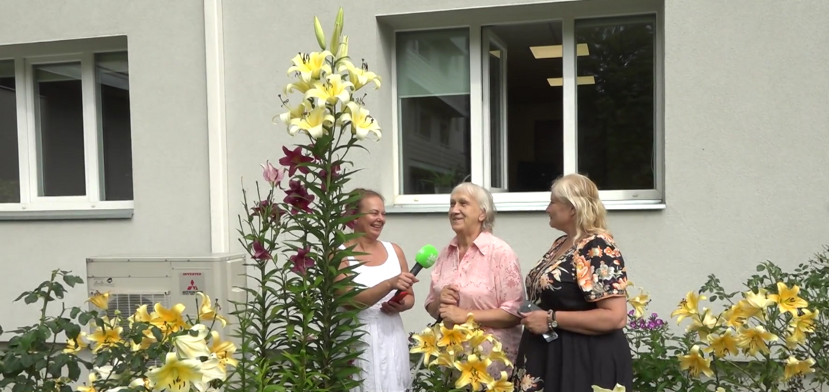 Foto: Ekrānuzņēmums no sižeta